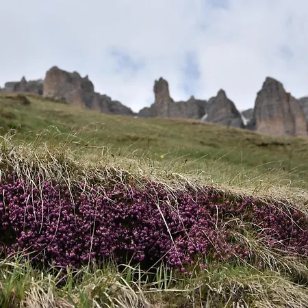 Cesa Castlunger 卡纳泽伊