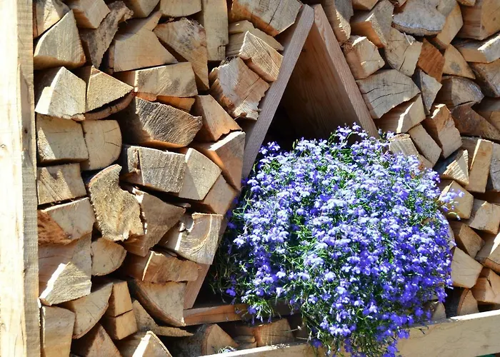 Apartamento Cesa Castlunger *