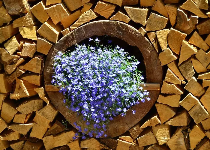 Cesa Castlunger Canazei