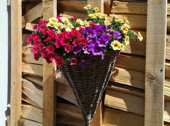 Cesa Castlunger Apartamento